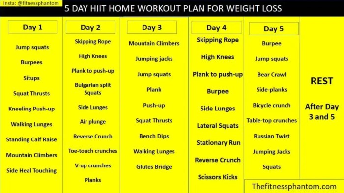 Home workout plans for weight loss