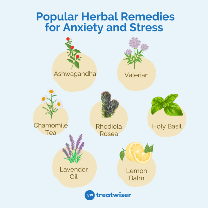 Herbs herbal anxiety remedies diabetes depression tea prevent these can india natural used medicine