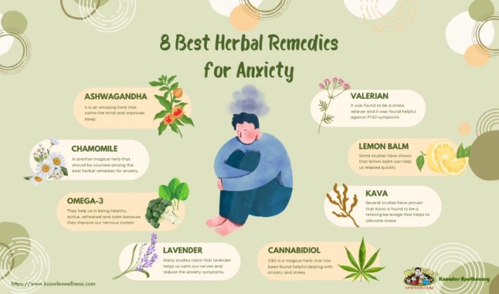 Anxiety herbs reducing herbazest